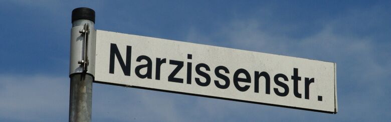 Straßenschild Narzissenstraße