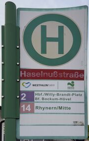 HSS Haselnussstraße 2024.jpeg