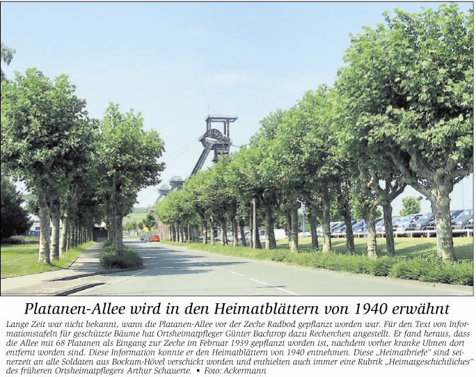 Datei:20100728 WA An den Fördertürmen.jpg