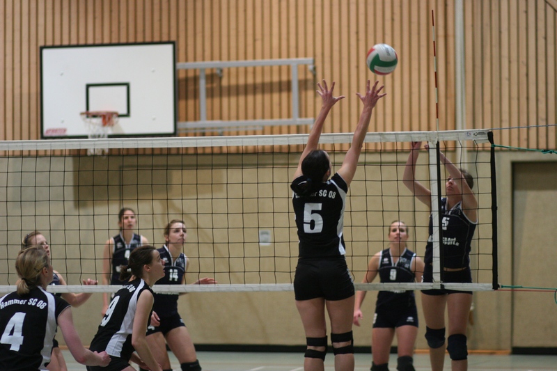 Datei:HSC 2009 Volleyball.jpg