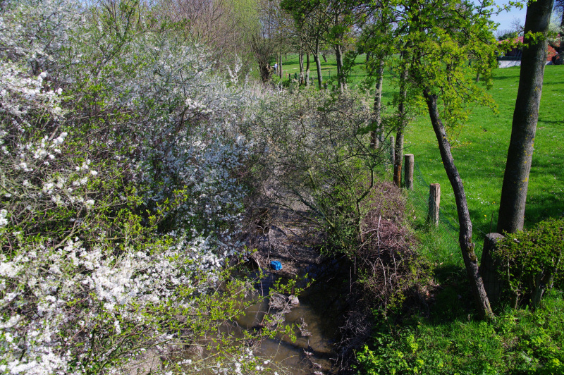 Datei:Geithe (Bach) 03.jpg