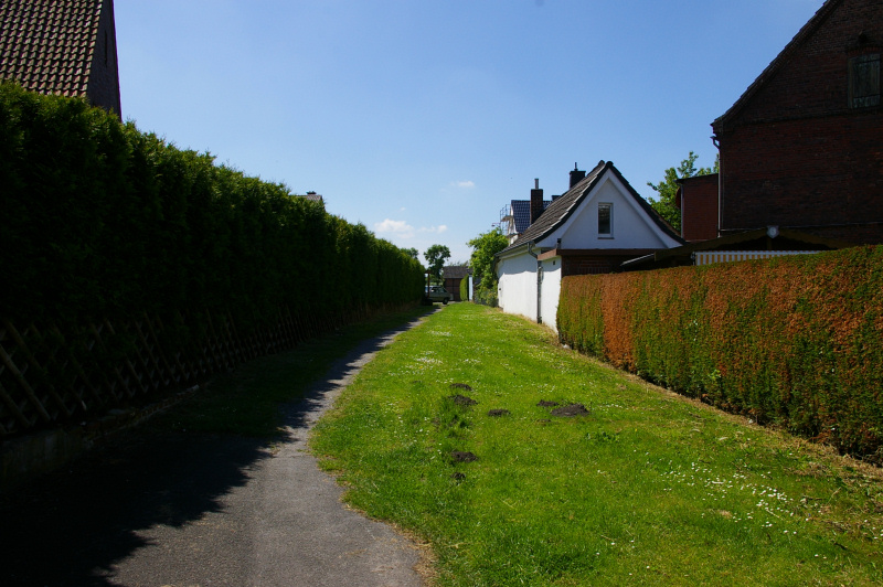 Datei:Immenkoetters Patt01.jpg