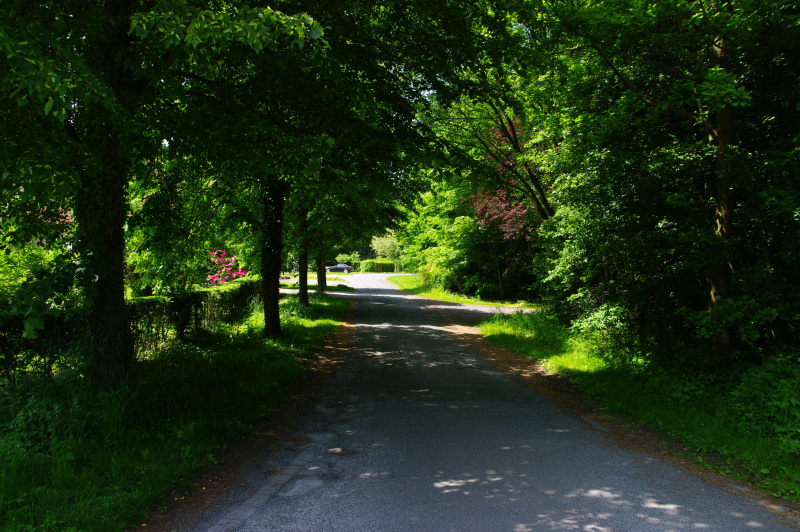 Datei:Drei Eichen Weg01.jpg