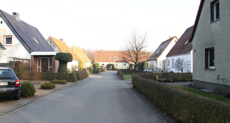 Datei:Am finnbusch.jpg