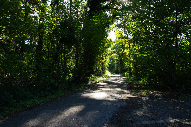 Datei:Fritz Baudach Weg02.jpg