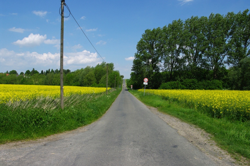 Datei:Holtumer Weg04.jpg