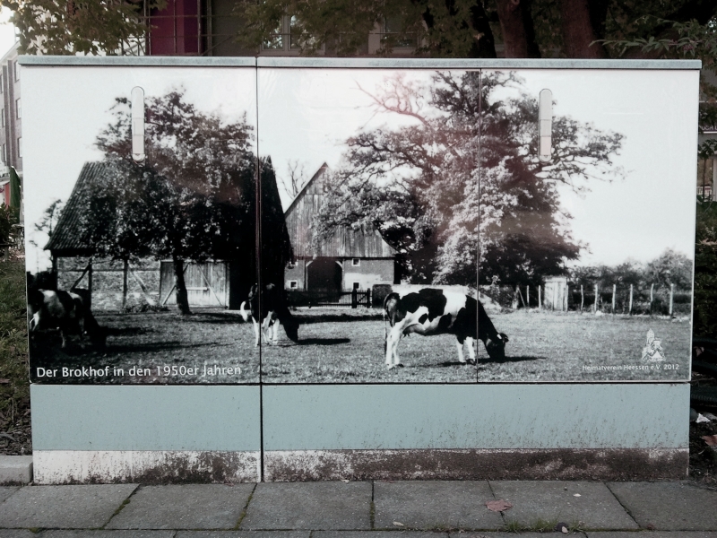 Datei:Blickfang HE008.jpg