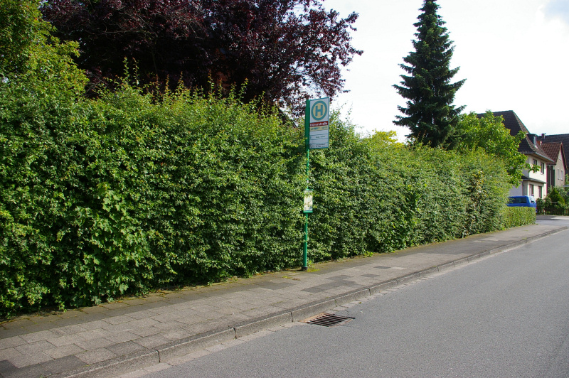 Datei:HS Duererstrasse3.jpg