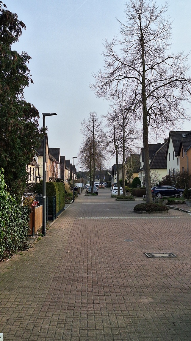 Pelzerstraße