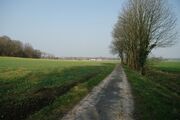Strasse RH114 01.jpg