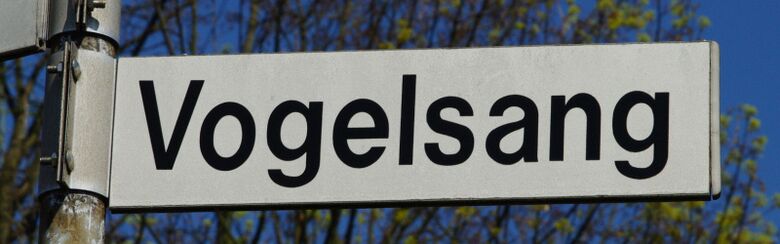 Straßenschild Vogelsang