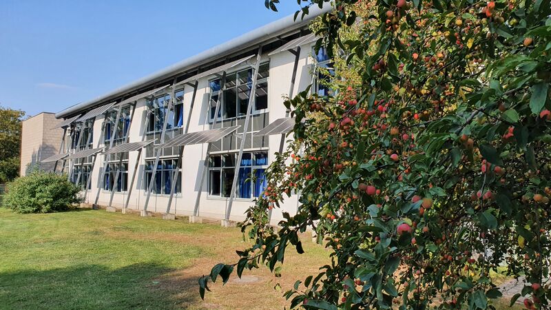 Datei:Stein Neubau.JPG