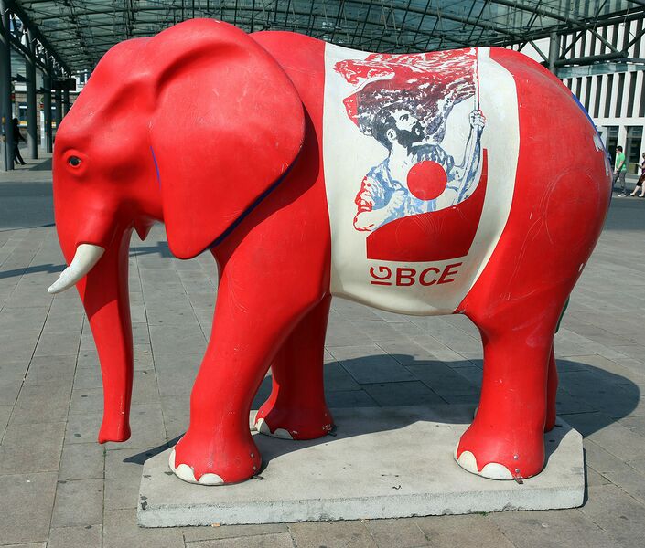 Datei:Elefant IGBCE.jpg