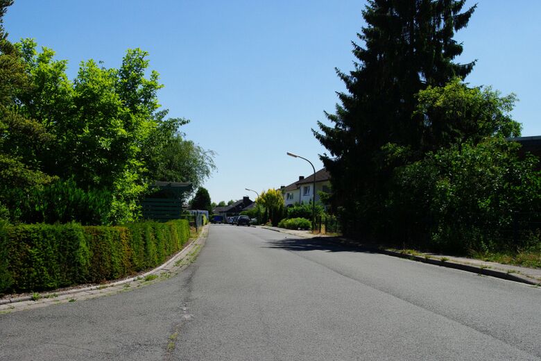 Rosenwinkel Richtung Zinnienstraße