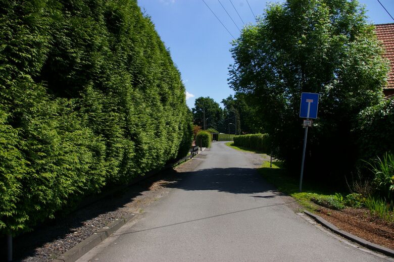 Am Friggenhof von der Grönebergstraße aus