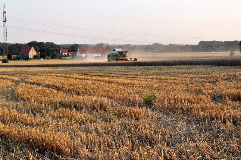 Datei:Berge Ernte 2009.jpg
