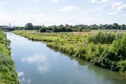 Lippe mit Flutmulden an der Münsterstraße Richtung Westen