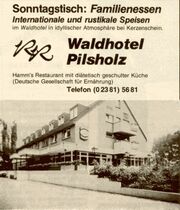 Anzeige Waldhotel 1985.jpg