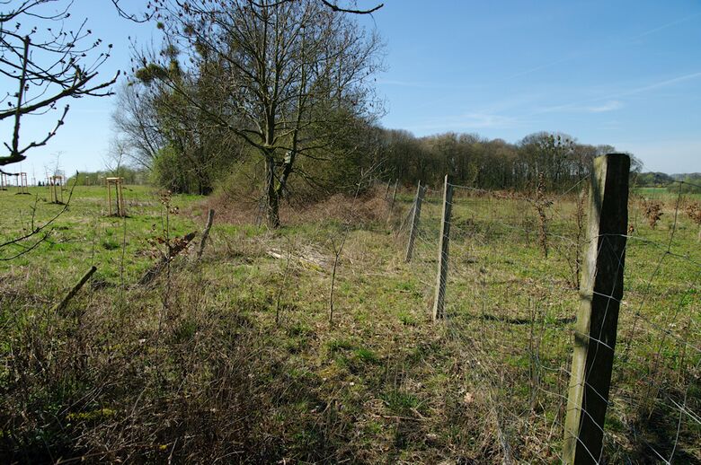 Straße-RH81 von der Straße-RH80 aus