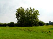 In-der-Kuhweide-4 01.jpg