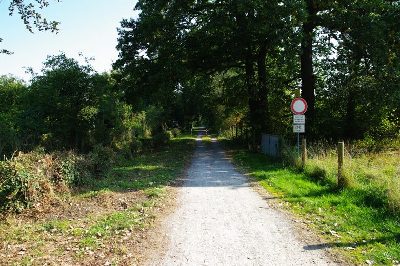 Plasstraße von Am Schräggraben aus