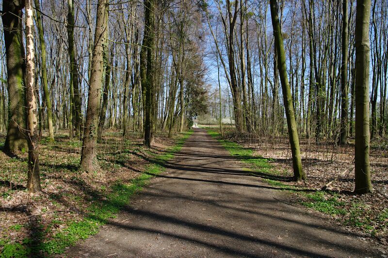 Datei:Strasse RH113 04.jpg