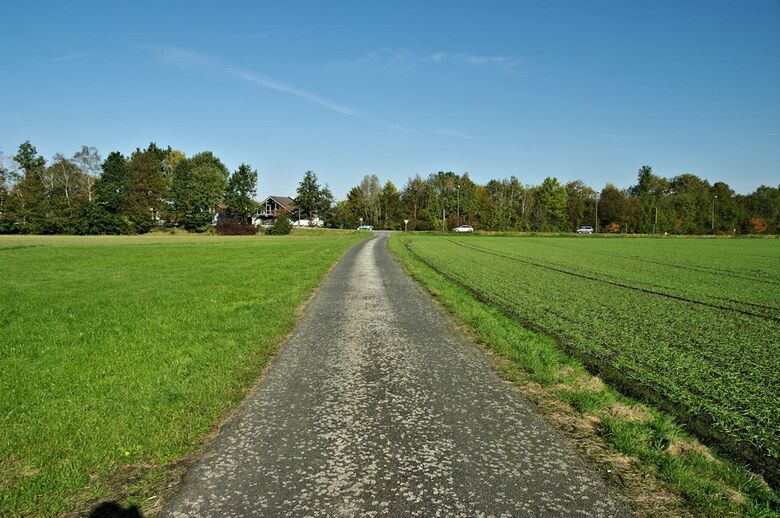 Straße-RH41 Richtung Ahornallee aus