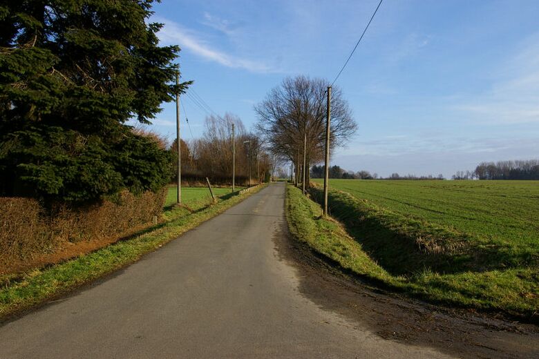 Am Weizenkamp von In der Lengde