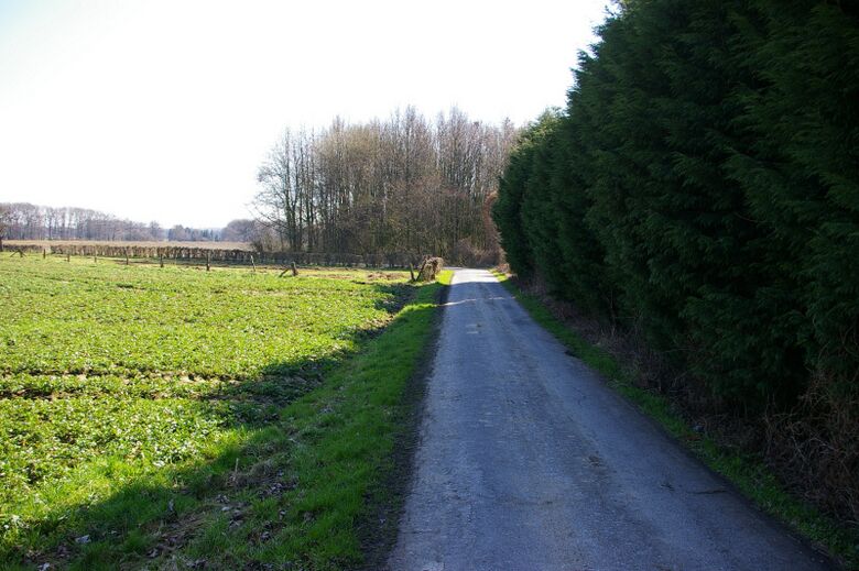 Zum Schalthaus von der Kamener Straße aus