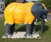 Elefant Emptings.jpg