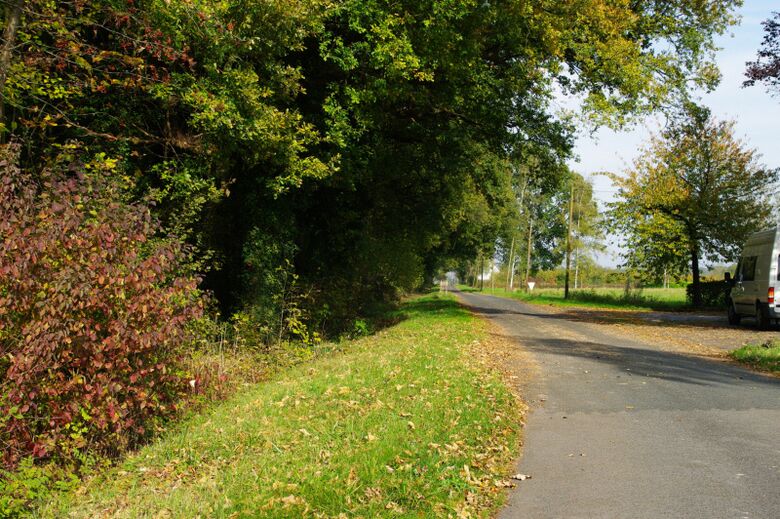 Nieliesberg Nähe Braamer Straße