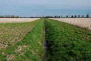 Boeningsgraben01.jpg