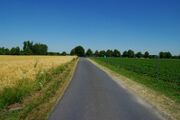 Fohlenweg01.jpg
