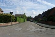 Zedernstrasse01.jpg
