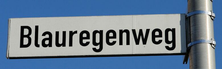 Straßenschild Blauregenweg