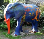 Elefant Vobafant.jpg