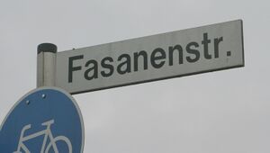 Straßenschild Fasanenstraße