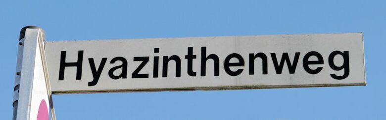 Straßenschild Hyazinthenweg