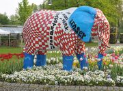 Elefant 2009 17.jpg