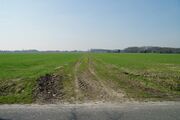 Strasse RH10 01.jpg