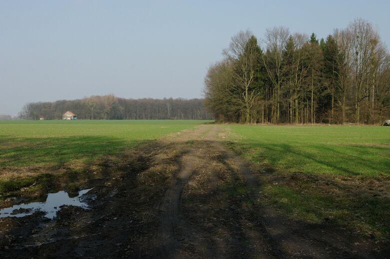 Straße-RH66 von der Straße-RH65 aus