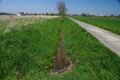 Landwehrbach (grüner Teil) parallel Brauck