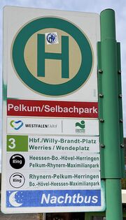 HSS Pelkum-Selbachbark (2021).jpg
