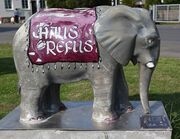 Elefant midi Rosalie.jpg