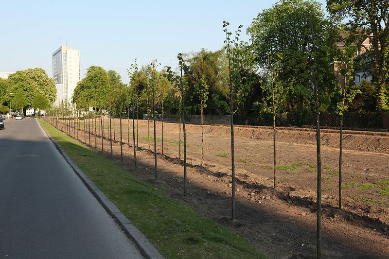 Datei:Ostring 2011 7.jpg