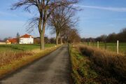 Alte Freisker Strasse01.jpg