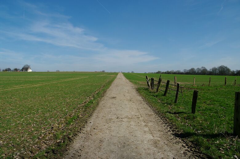 Straße-RH93 von der Straße-RH92 aus