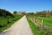 Nienbruegger Weg03.jpg