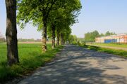 Auf dem Suedfelde05.jpg