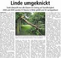 Westfälischer Anzeiger, 1. Juni 2010